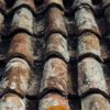how to tell if you need a new roof