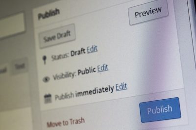 Wordpress publish button