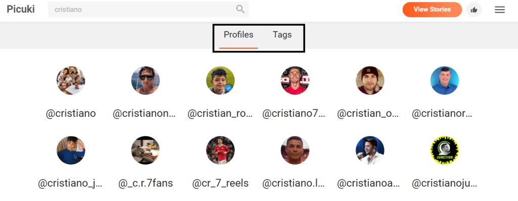 Profiles & Tags on Picuki